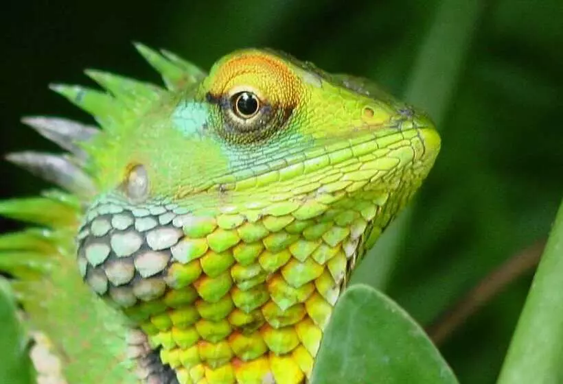 Hotelli River Garden Resort