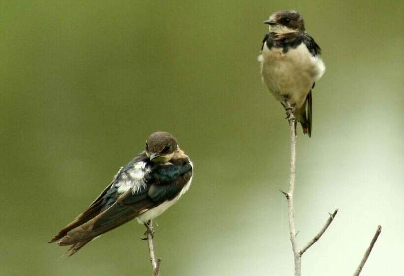 ホテル River Garden Resort