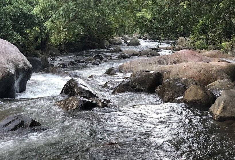 ホテル River Garden Resort