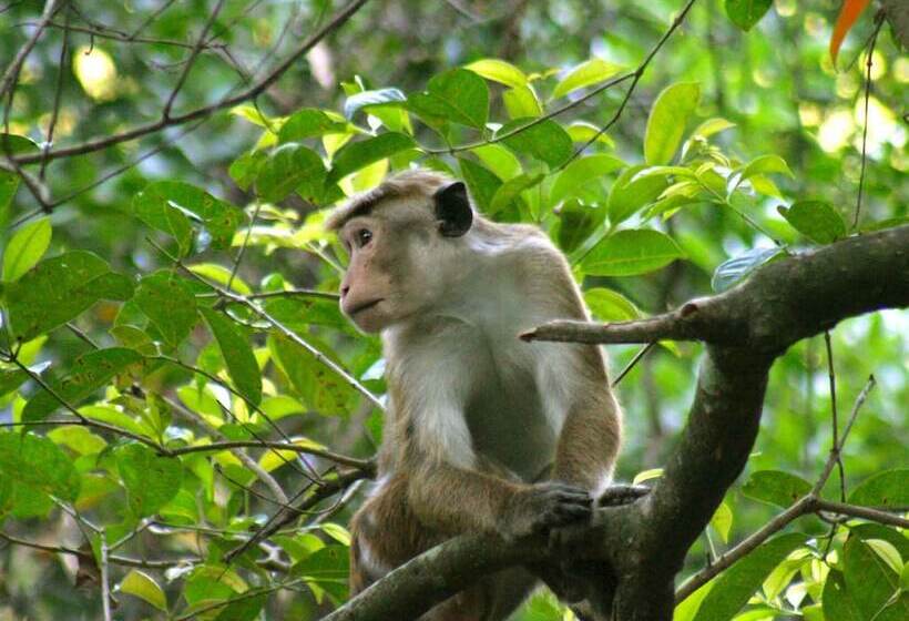 ホテル River Garden Resort