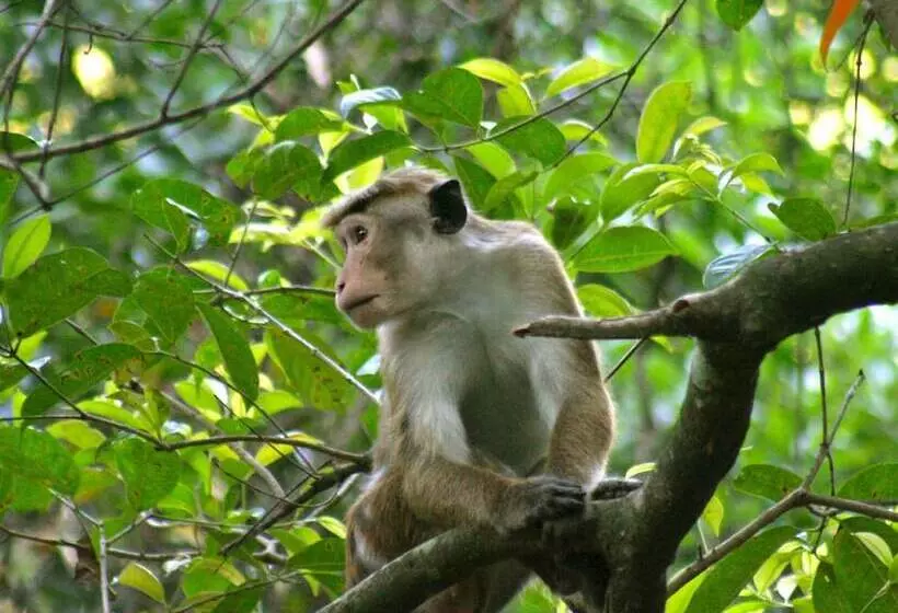 Hotelli River Garden Resort