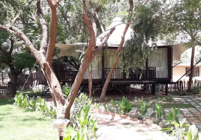 Sariska Tiger Heaven Resort