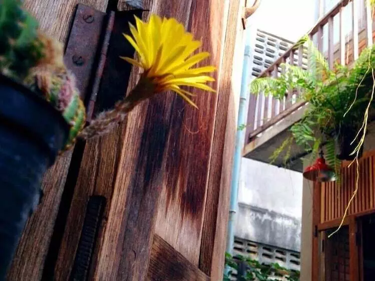 Baan Somlim Homestay   Hostel