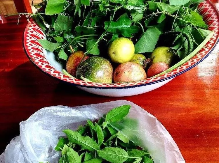 Baan Somlim Homestay   Hostel