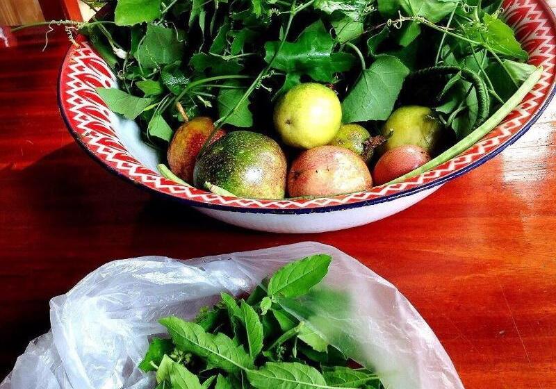 Baan Somlim Homestay   Hostel