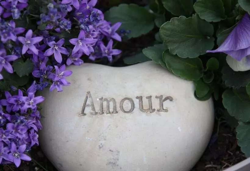 Aamiaismajoitus (B&B) Comme Un Rêve