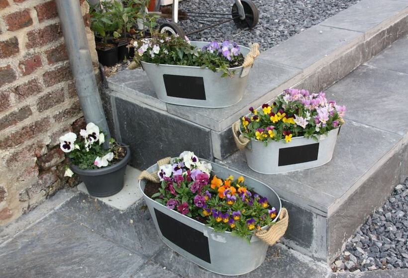 צימר Comme Un Rêve