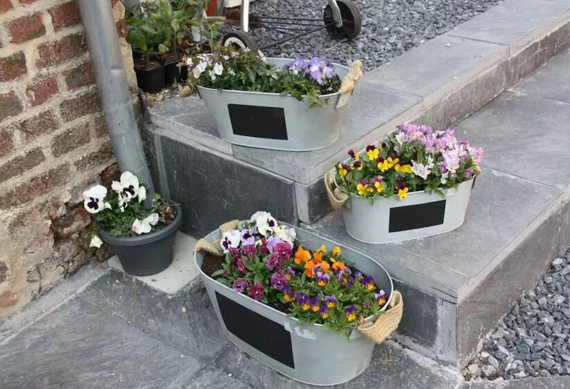 Aamiaismajoitus (B&B) Comme Un Rêve