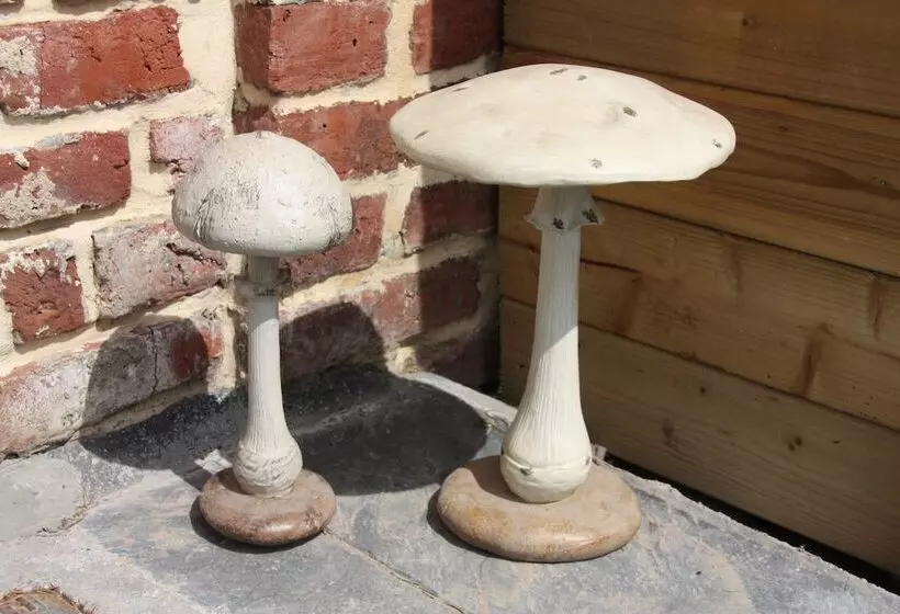 Aamiaismajoitus (B&B) Comme Un Rêve