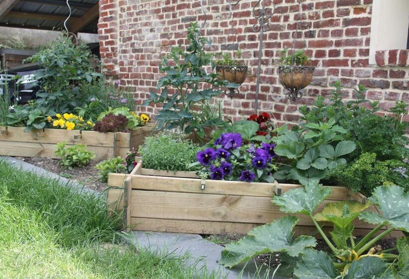 צימר Comme Un Rêve