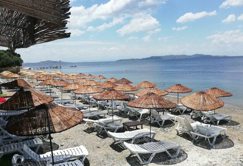 住宿加早餐  Mermer Beach