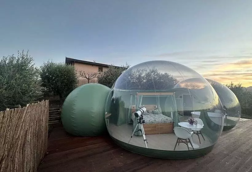 Aamiaismajoitus (B&B) Villa Ulivi