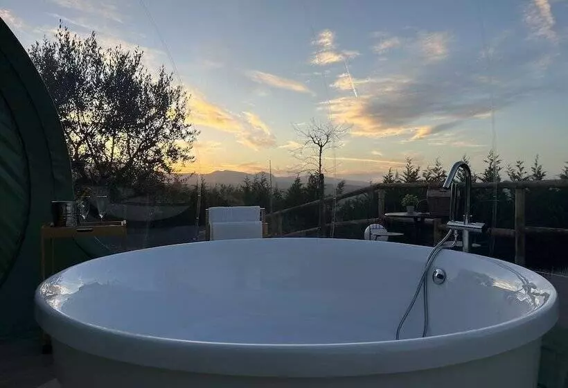 Aamiaismajoitus (B&B) Villa Ulivi