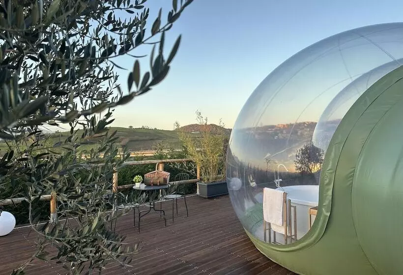 Aamiaismajoitus (B&B) Villa Ulivi