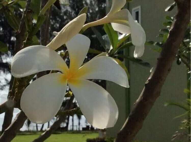 Hotel Greenseaviewresort Bangsaphan