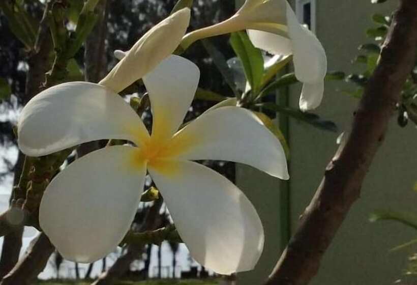 Hotel Greenseaviewresort Bangsaphan