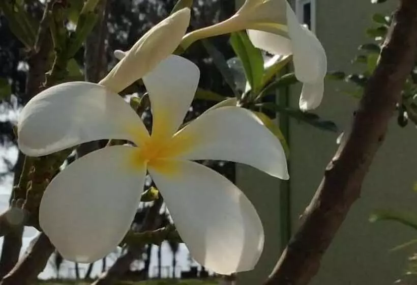 ホテル Greenseaviewresort Bangsaphan