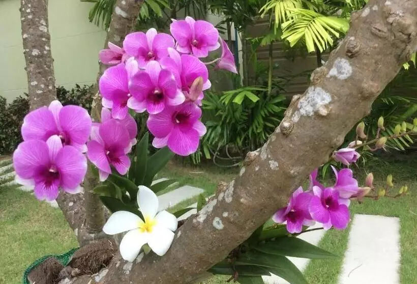 ホテル Greenseaviewresort Bangsaphan