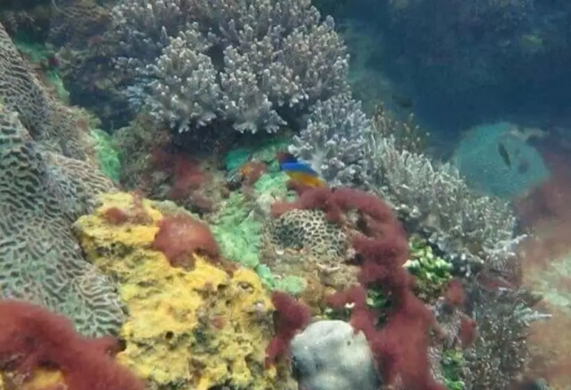 ホテル Greenseaviewresort Bangsaphan