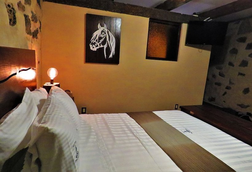 ホテル Hacienda Calichar