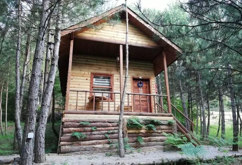 Hotelli Mengen Cam Pinari Doga Evleri & Restaurant