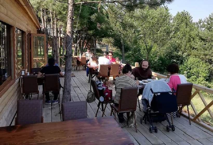 בית מלון כפרי Mengen Cam Pinari Doga Evleri & Restaurant