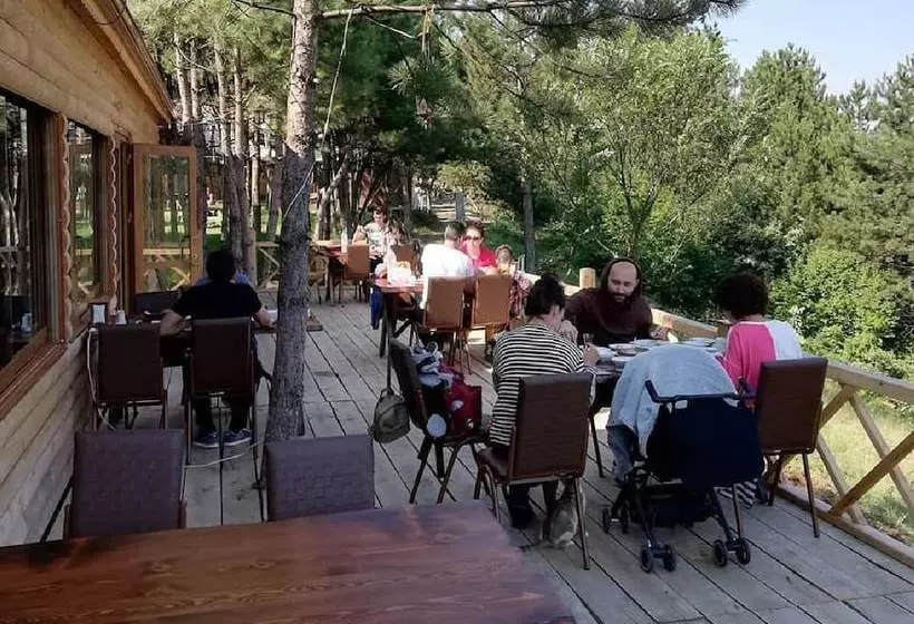 Hotelli Mengen Cam Pinari Doga Evleri & Restaurant