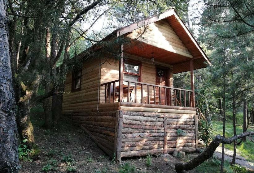 酒店 Mengen Cam Pinari Doga Evleri & Restaurant