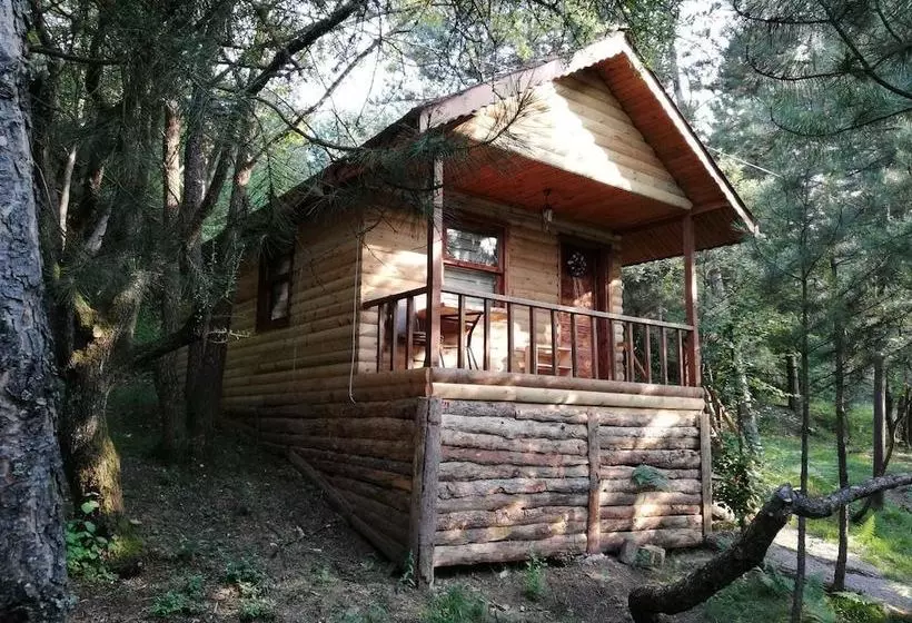 Hotelli Mengen Cam Pinari Doga Evleri & Restaurant