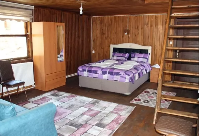 Hotelli Mengen Cam Pinari Doga Evleri & Restaurant