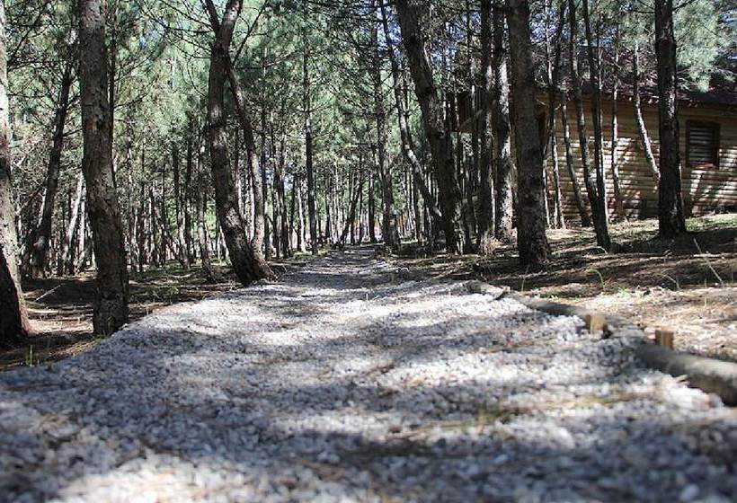 酒店 Mengen Cam Pinari Doga Evleri & Restaurant