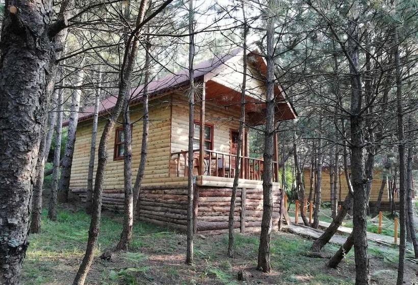 酒店 Mengen Cam Pinari Doga Evleri & Restaurant