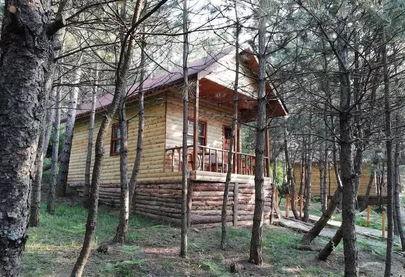 Hotelli Mengen Cam Pinari Doga Evleri & Restaurant