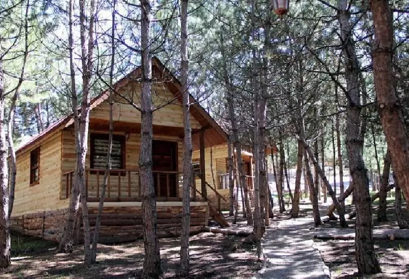 Hotelli Mengen Cam Pinari Doga Evleri & Restaurant