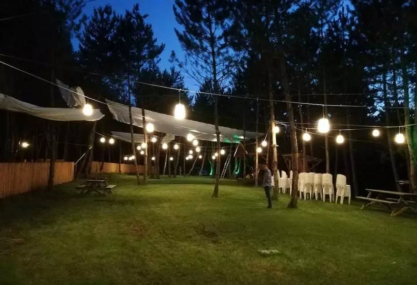 Hotelli Mengen Cam Pinari Doga Evleri & Restaurant