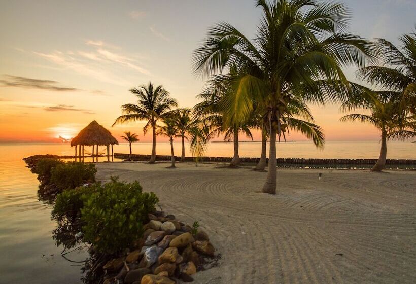 فندق Royal Belize, A Muy Ono Resort