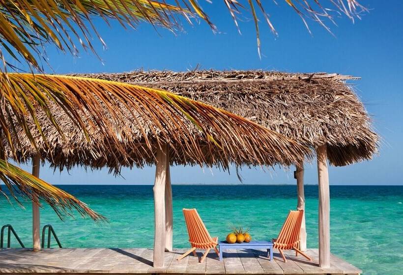 فندق Royal Belize, A Muy Ono Resort