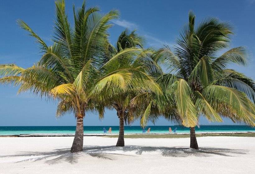 فندق Royal Belize, A Muy Ono Resort