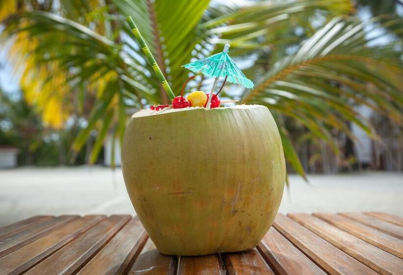 فندق Royal Belize, A Muy Ono Resort