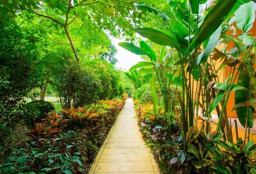 בית מלון כפרי Sinatara Resort