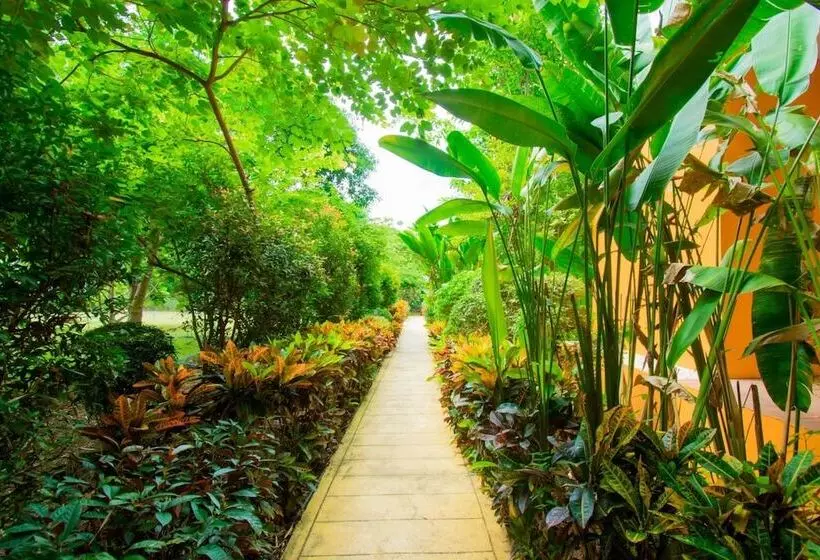 ホテル Sinatara Resort