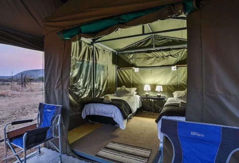 ホテル Tented Adventures Pilanesberg