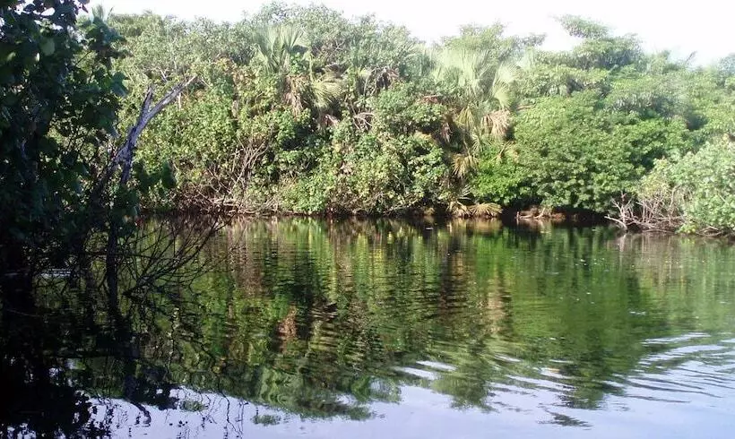 ホテル Terrazas Del Rinconcito