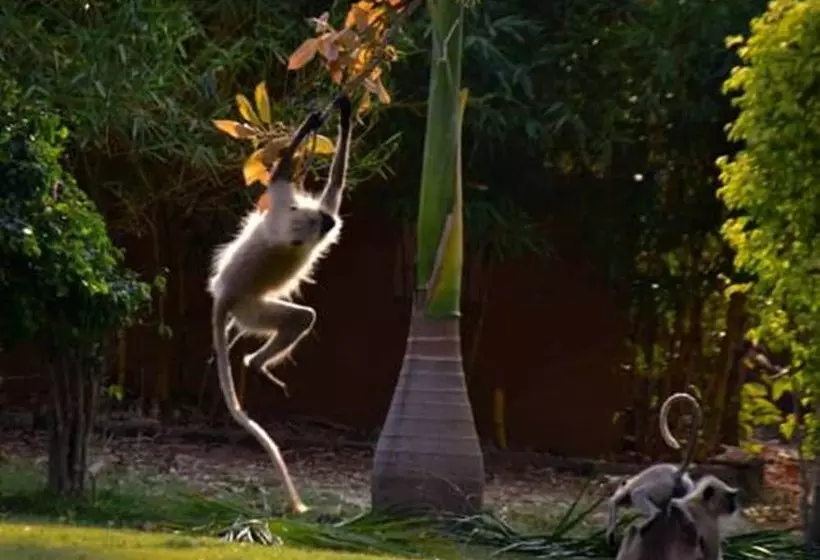 Hotelli Vannraj Resort And Spa