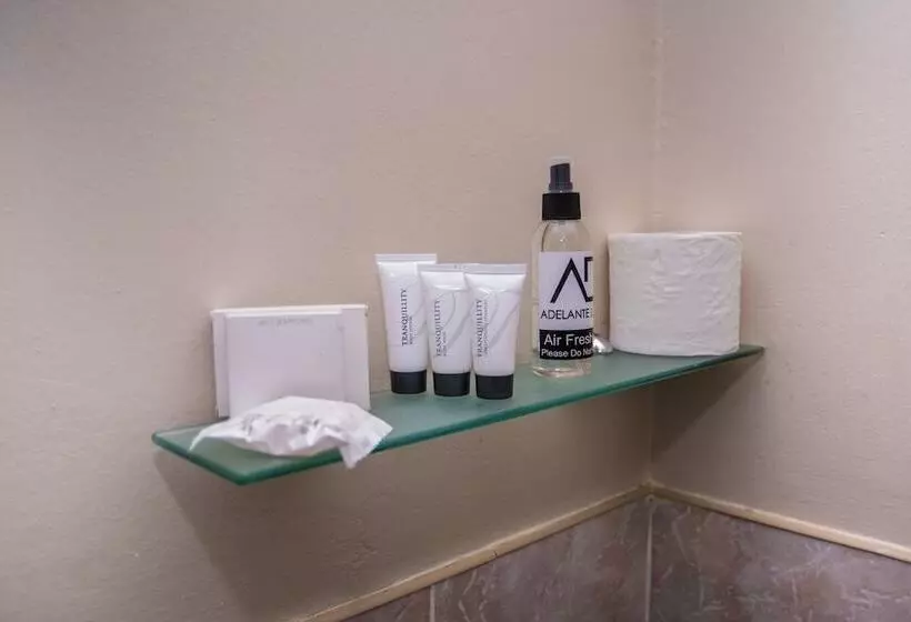 ペンション Adelante Lodge