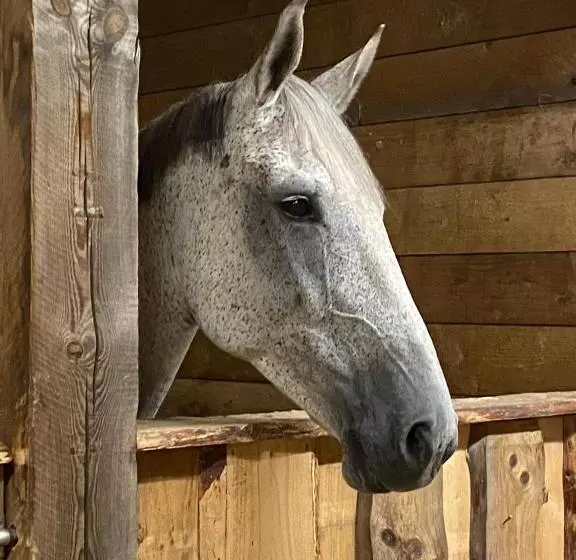 Majatalo J A Ranch Bed & Breakfast