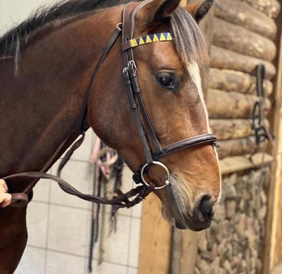 פנסיון J A Ranch Bed & Breakfast