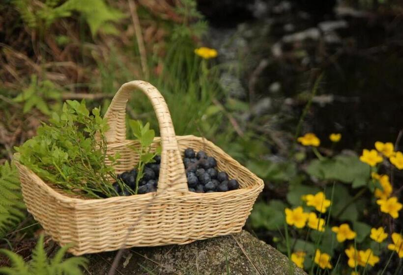 פנסיון J A Ranch Bed & Breakfast