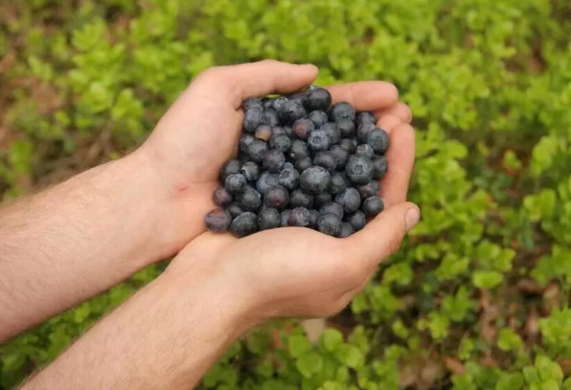 Majatalo J A Ranch Bed & Breakfast