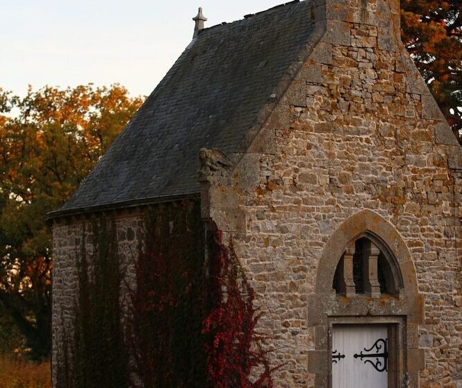 بنسيون La Sicorie